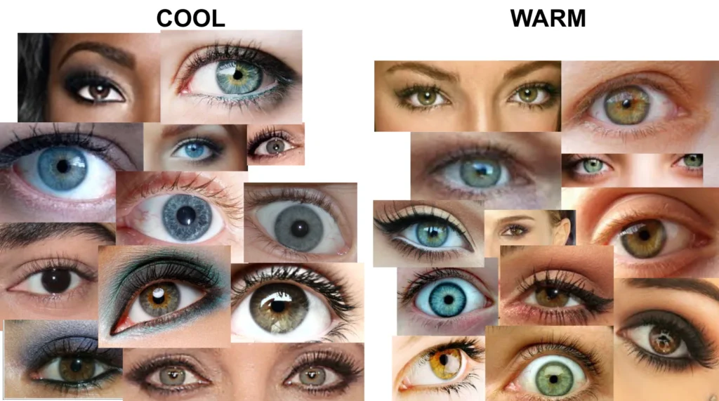 cool eyes and warm eyes