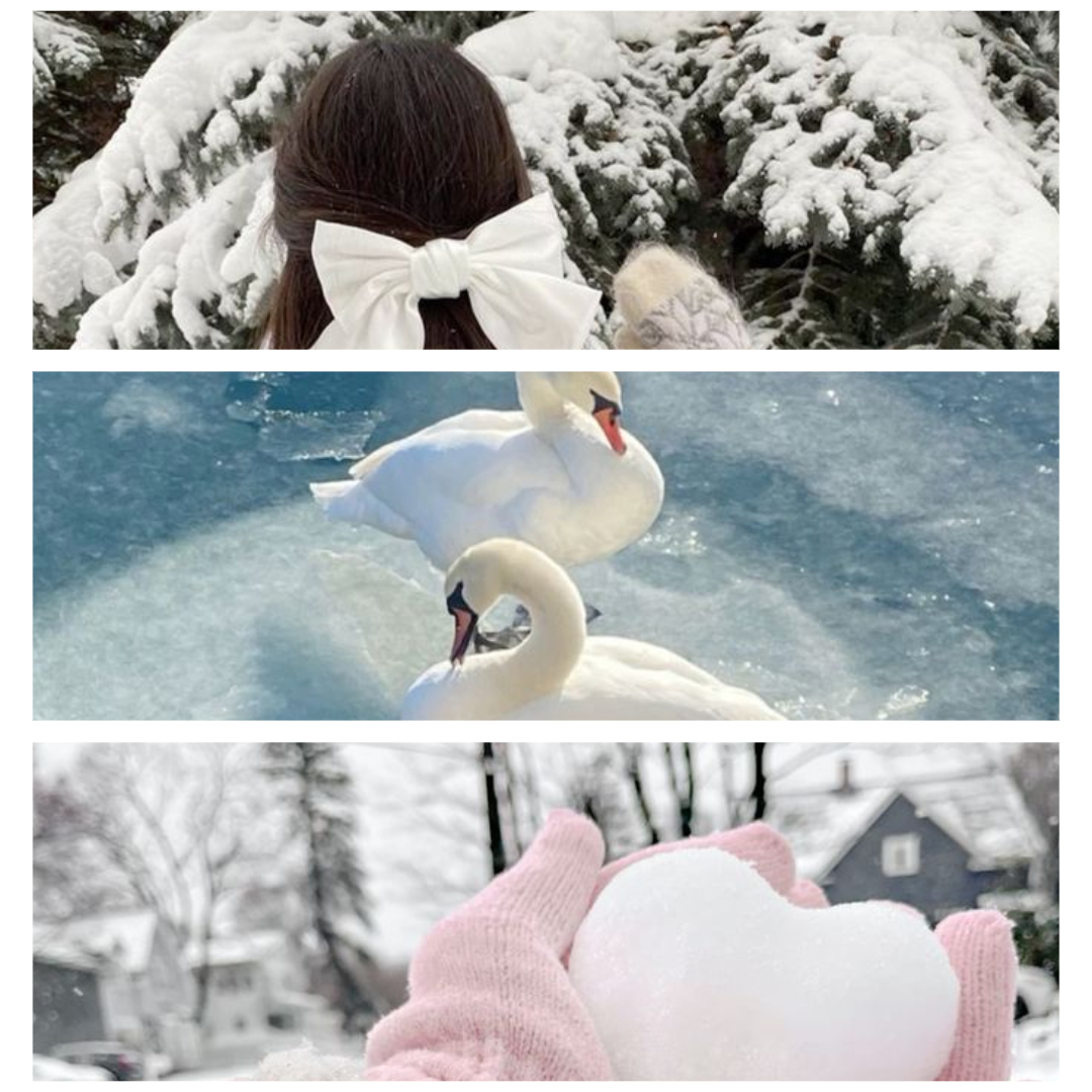 winter season collage